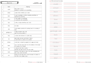 Super Fly Guy workbook by ENGLISHOLA