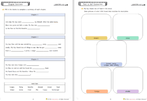 Shoo, Fly Guy workbook by ENGLISHOLA