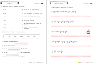 There was an old lady who swallowed fly guy workbook