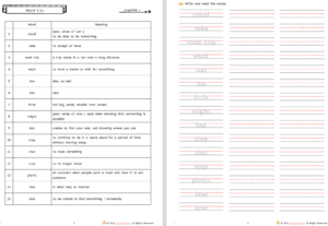 Fly High Fly Guy workbook by ENGLISHOLA