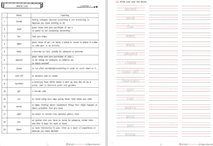 Fly Guy Meets Fly Girl workbook by ENGLISHOLA