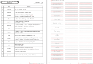 Fly Guy vs. The Flyswatter workbook by ENGLISHOLA