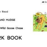 Henry and Mudge and the Wild Goose Chase workbook